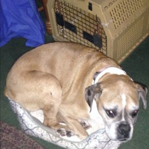 Meet your Posher, Christy